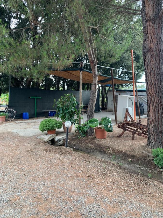 Agrib&B Il Pomo D'Oro Assemini Exterior foto